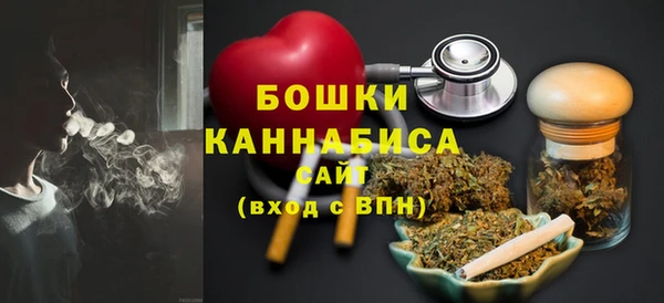 PSILOCYBIN Бронницы