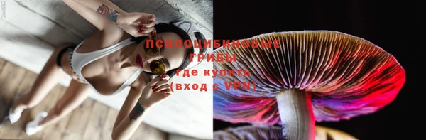 не бодяженный Бородино