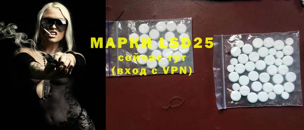 PSILOCYBIN Бронницы