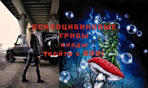 герыч Бугульма