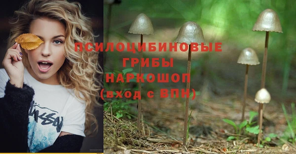 не бодяженный Бородино