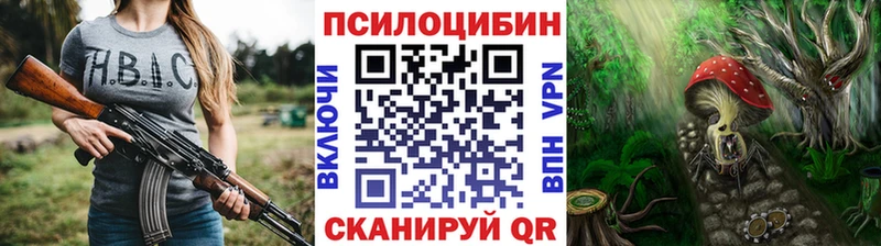 закладка  Петропавловск-Камчатский  Галлюциногенные грибы мицелий 